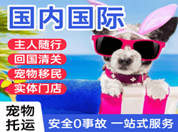 巴中恩阳空运国际宠物托运 【国
